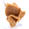 Authentic gypsum crystallization - 3