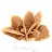Authentic gypsum crystallization