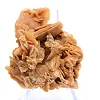 Specimen of crystallized ochre gypsum - 2