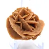 Rosette of sand and natural gypsum - 2