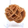 Rosette of sand and natural gypsum - 3