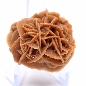 Rosette of sand and natural gypsum