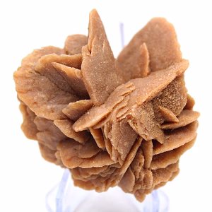 Large crystallization of massive gypsum