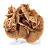Aesthetic specimen of crystalline gypsum