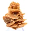 Crystallized sand petals, Algeria - 3