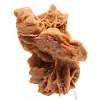 Saharan gypsum crystalline cluster - 0