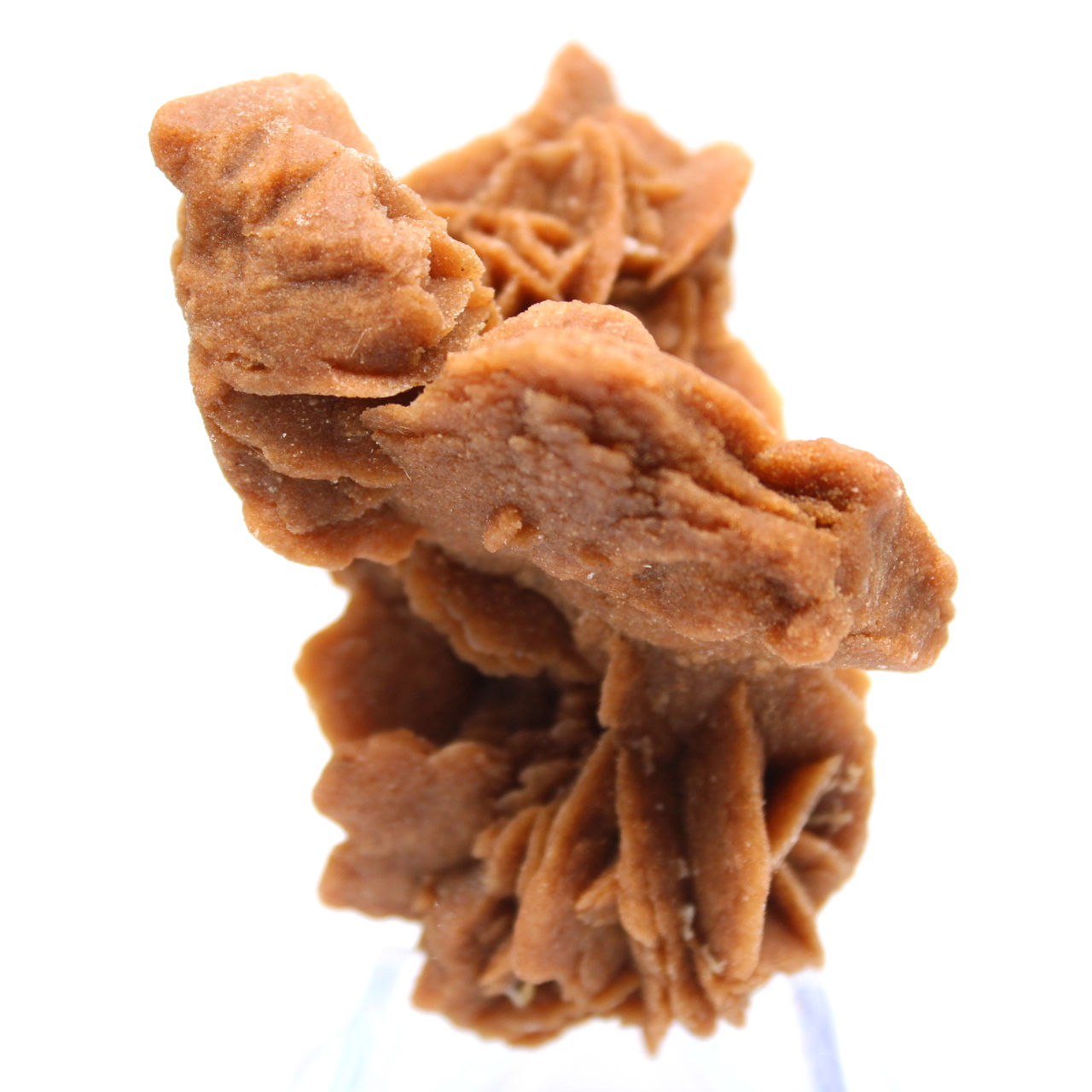 Saharan gypsum crystalline cluster