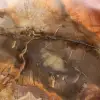 Petrified Majunga Wood - Naturally Originated Polished Slice - 4