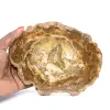 Small Slice of Petrified Wood - Authenticity from Madagascar - 0