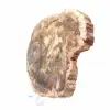 Large Slice of Petrified Wood - Majunga Collection - 3