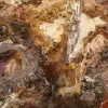 Large Slice of Petrified Wood - Majunga Collection - 4