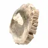 Elongated Slice of Silicified Wood - Origin Madagascar - 3