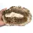 Elongated Slice of Silicified Wood - Origin Madagascar