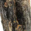 Raw Black Tourmaline Stone - Natural Malagasy Crystal - 5