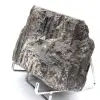 Large Black Tourmaline from Madagascar - Authentic Mineral - 2
