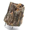 Black Tourmaline from Madagascar - Rough Compact Crystal - 2
