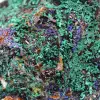 Azurite Malachite Crystals Morocco - 5