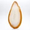 Specimen of polished sedimentary agate - 1