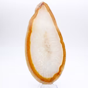 Specimen of polished sedimentary agate
