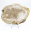 Slice of Brazilian agate geode - 1