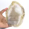 Slice of Brazilian agate geode - 3