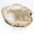 Slice of Brazilian agate geode