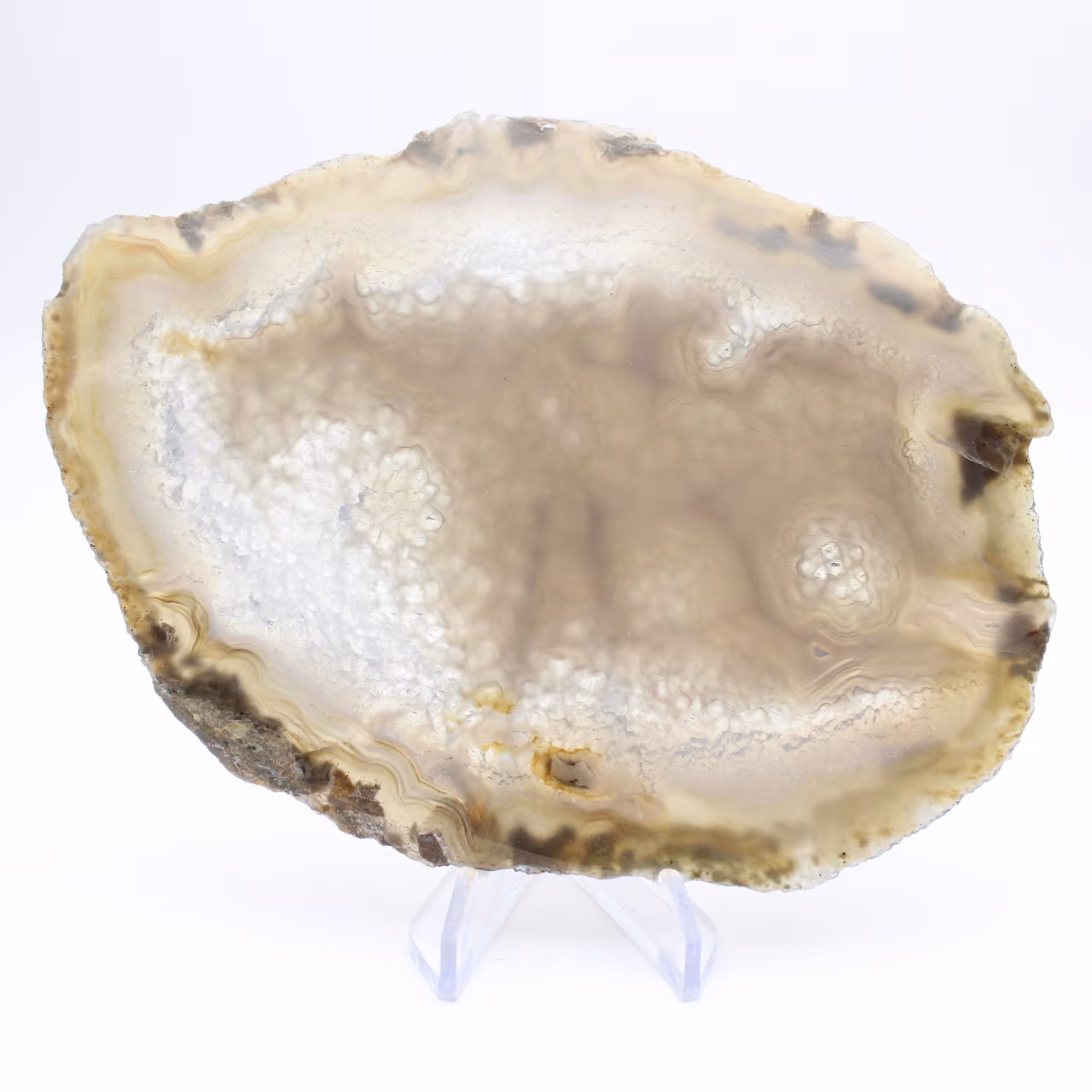 Slice of Brazilian agate geode