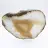 Slice of agate with dense bands