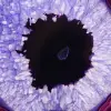 Brazilian Agate: Slice of Mineral Dyed Purple - 2