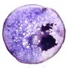 Slice of Solid Brazilian Agate, Shades of Purple - 0