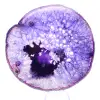 Slice of Solid Brazilian Agate, Shades of Purple - 1