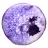 Slice of Solid Brazilian Agate, Shades of Purple