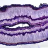 Mineral Decoration: Slice of Brazilian Purple Agate - 2