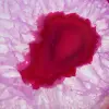 Decorative slice of pink-tinted agate - 2