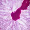 Natural pink-tinted agate slice - 2