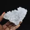 Celestine's Shard: Small Specimen from Madagascar - 1
