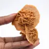 Desert rose of Morocco: a specimen of natural crystallization - 1