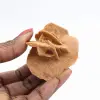 Mini Moroccan Desert Rose: specimen of natural gypsum - 1