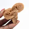 Small Moroccan Desert Rose: the radiance of natural gypsum - 1