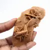 Elongated desert rose of Morocco: a geological specimen - 1