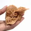 Desert rose of Morocco: substantial gypsum crystal - 1