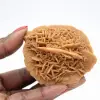 Specimen of Moroccan Desert Rose: dense crystallization - 1