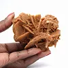 Desert Rose of the Algerian Sahara - 1