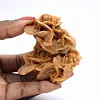 Raw mineralogical specimen from the desert - 1
