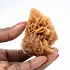 Fragment of crystallized gypsum from Algeria - 1