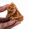 Mineral petals of the Algerian Sahara - 1