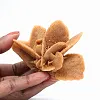 Authentic gypsum crystallization - 1
