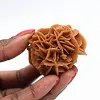 Rosette of sand and natural gypsum - 1