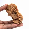 Mineral structure of the Algerian desert - 1