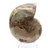 Fossil ammonite: Contrast of natural textures - 0